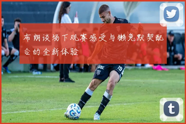 布朗谈场下观赛感受与獭兔默契配合的全新体验