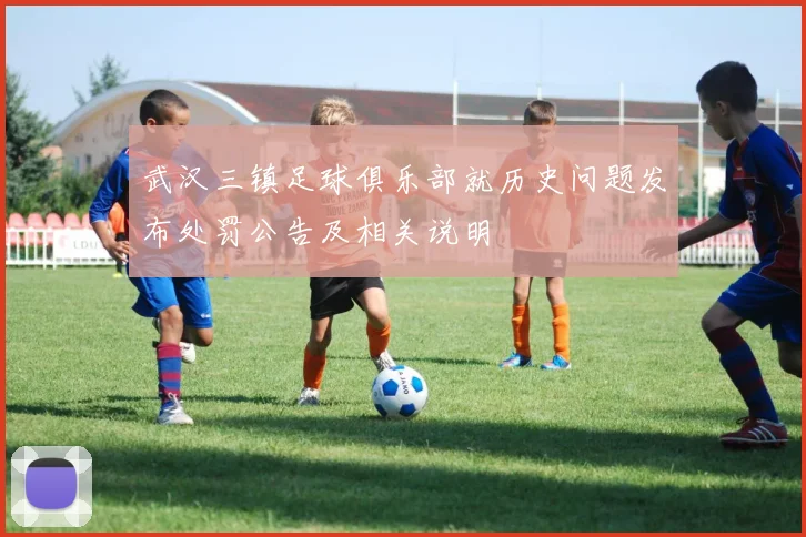 武汉三镇足球俱乐部就历史问题发布处罚公告及相关说明